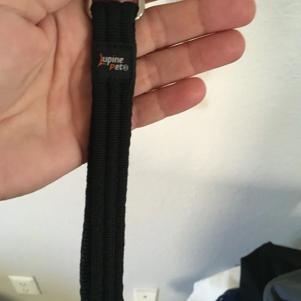 Pink and Black Lupine Pet Leash
